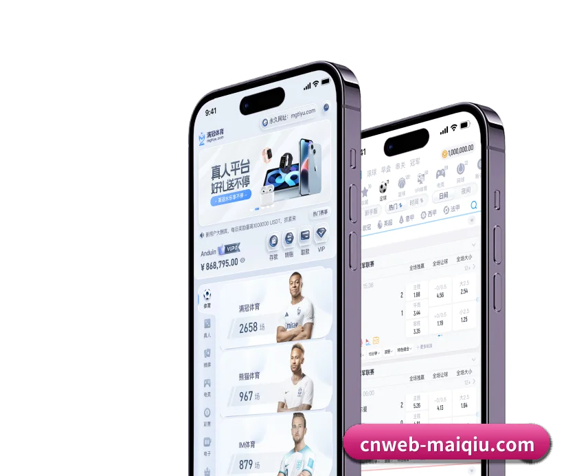 五大结构化功能入口,打造高效率的体育数据检索通道